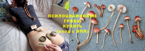 соль ск Пролетарск