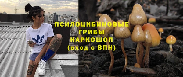 Альфа ПВП Протвино