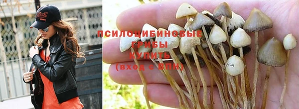 ECSTASY Алексеевка