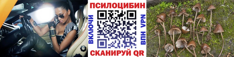 Галлюциногенные грибы ЛСД  дарнет шоп  Сосновоборск 