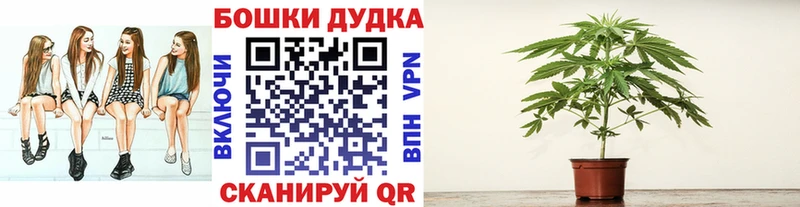 KRAKEN вход  купить закладку  Сосновоборск  мориарти какой сайт  Бошки марихуана White Widow 